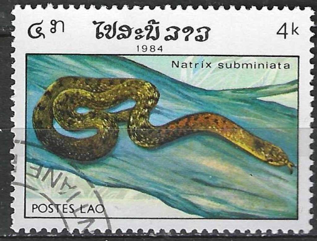 Laos 1984 - Yvert 602 - Reptielen - Natrix subminiata (ST), Verzenden, Gestempeld