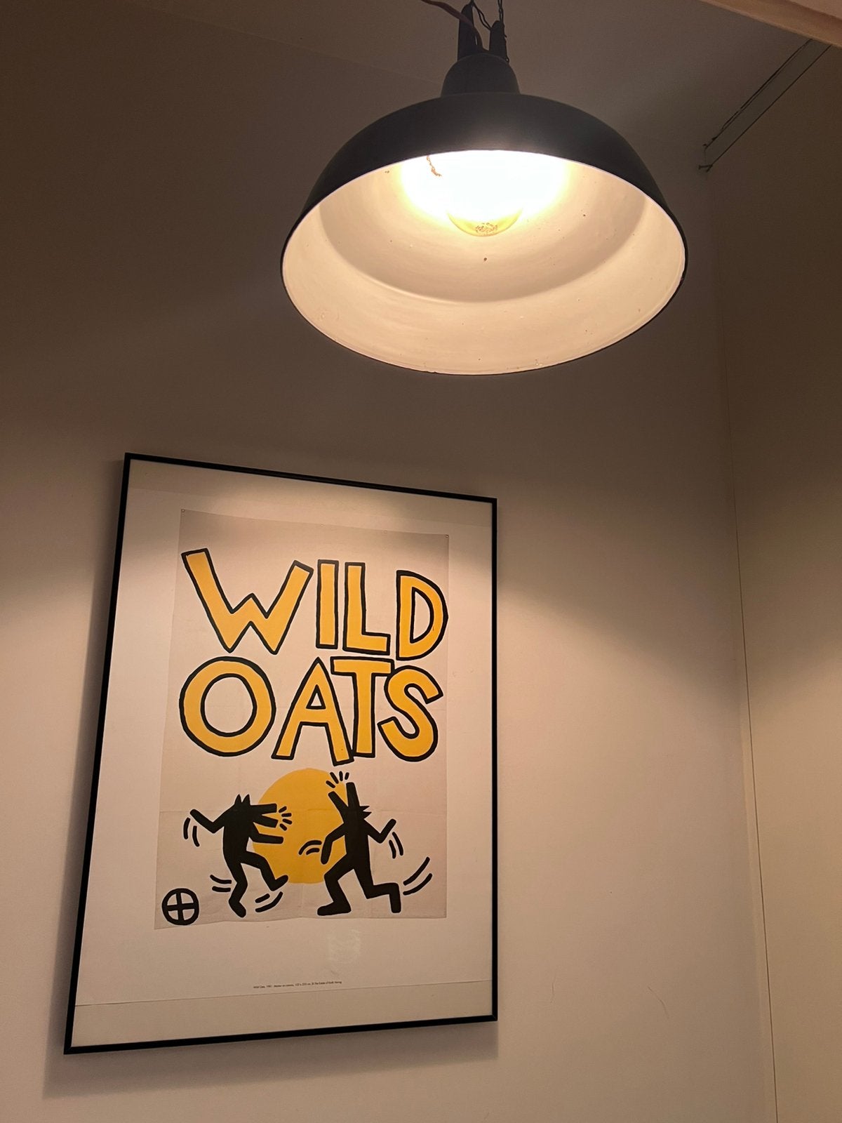 Vintage Industriële Emaille Lamp, Huis en Inrichting, Lampen | Wandlampen, Ophalen, Gebruikt, Metaal, Philips