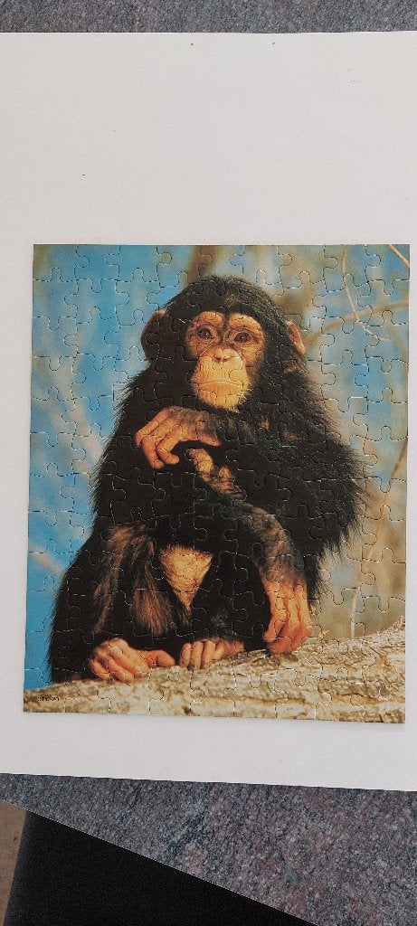 Puzzel Chimpansee 100 stuks afm. 38x30.5 cm Karton, Hobby en Vrije tijd, Ophalen, Minder dan 500 stukjes, Zo goed als nieuw