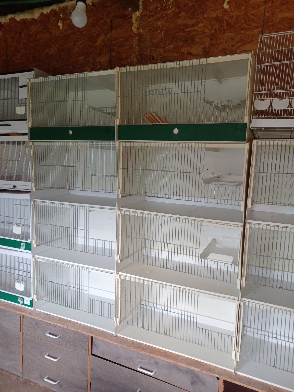 Heesakkers kweekkooien met broedblok, Dieren en Toebehoren, Ophalen
