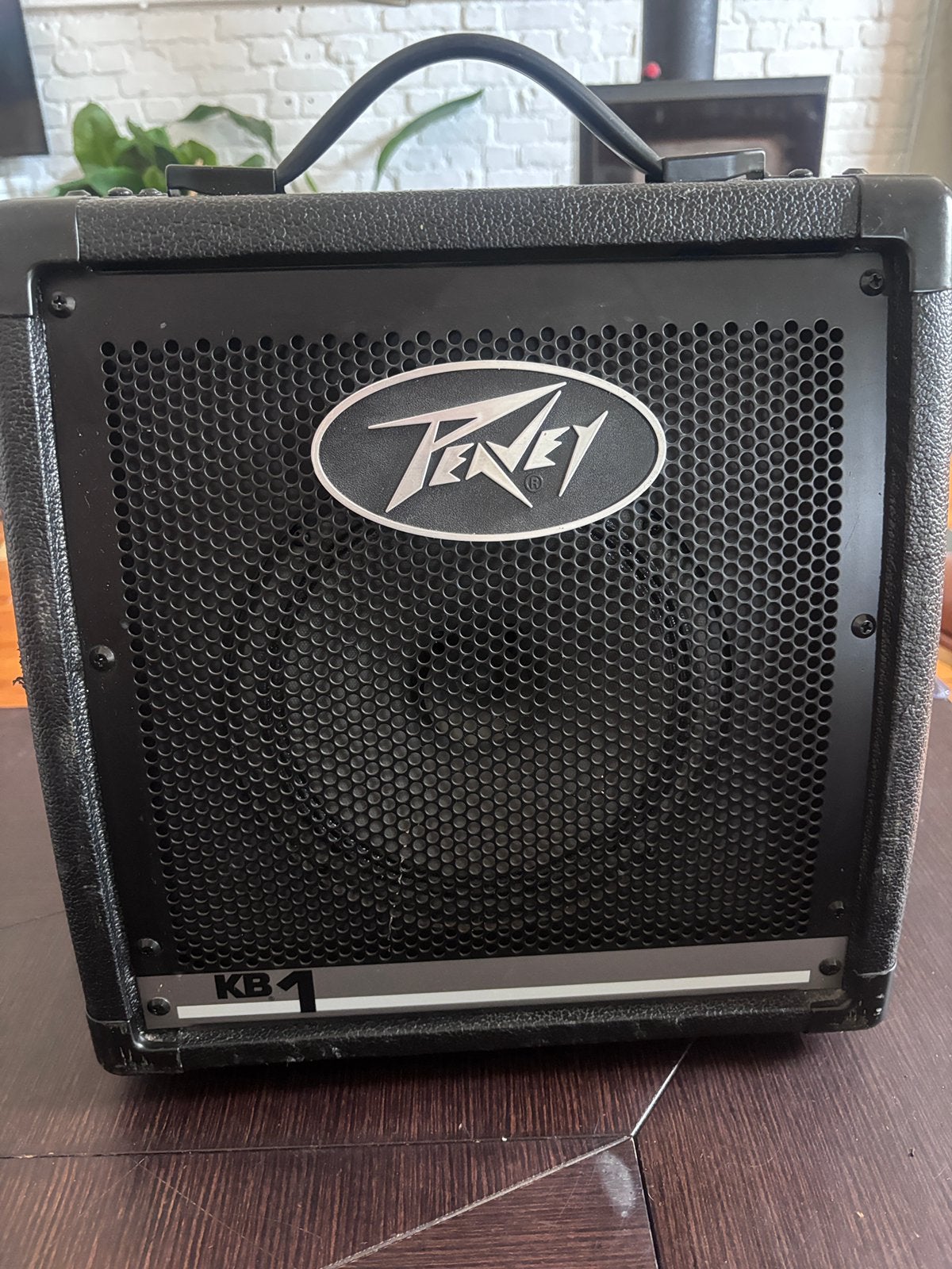 Peavey kb1, Muziek en Instrumenten, Ophalen, Gebruikt, Gitaar