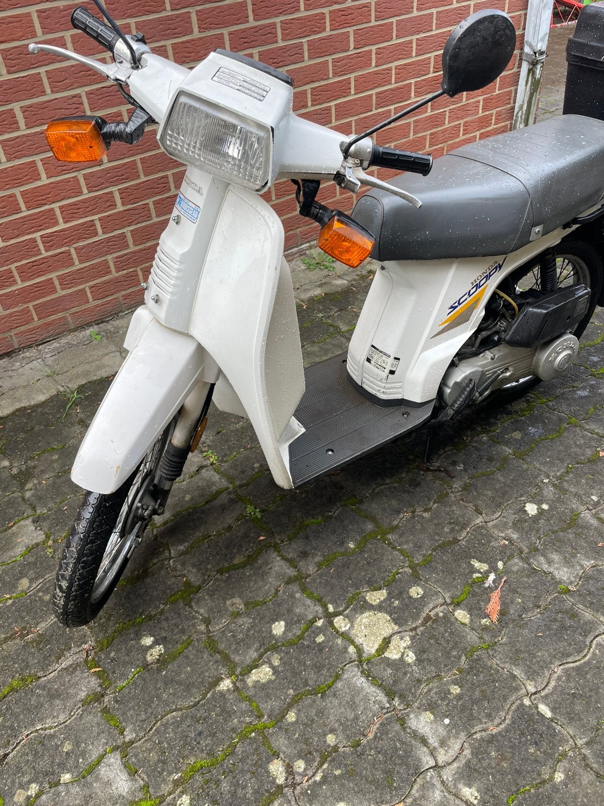 Honda scoopy 50, Autres modèles, 0 vitesses, Classe B (45 km/h), Enlèvement