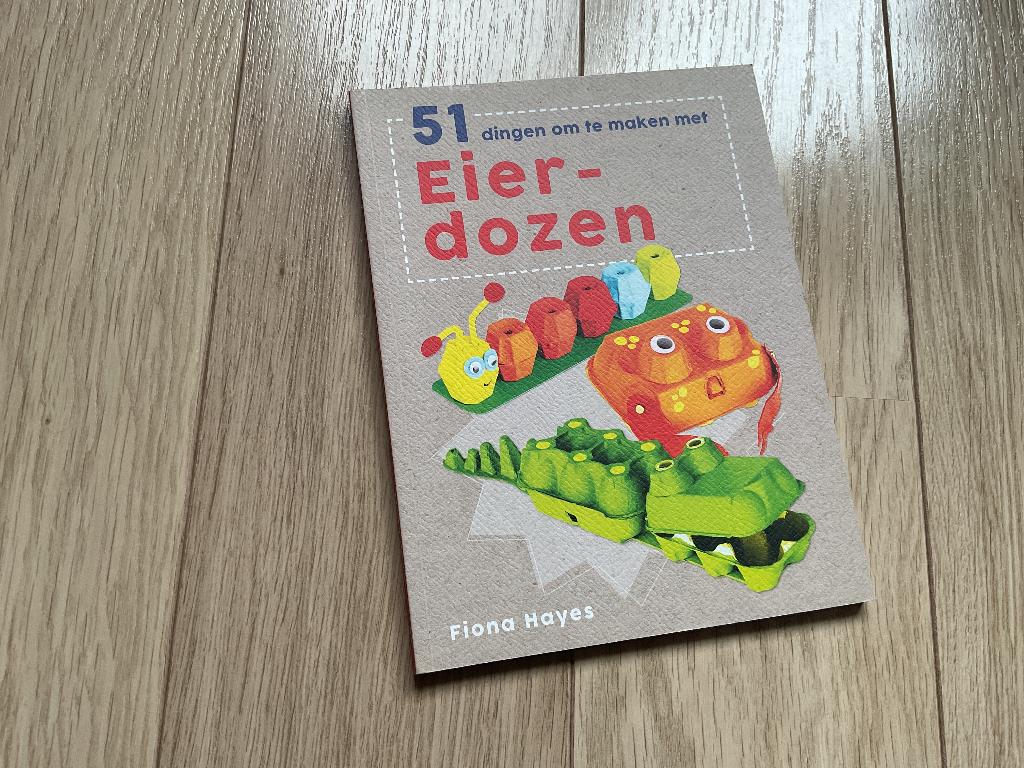 boek DIY met eierdozen, Boeken, Hobby en Vrije tijd, Fiona Hayes, Ophalen of Verzenden, Zo goed als nieuw, Scrapbooking en Knutselen