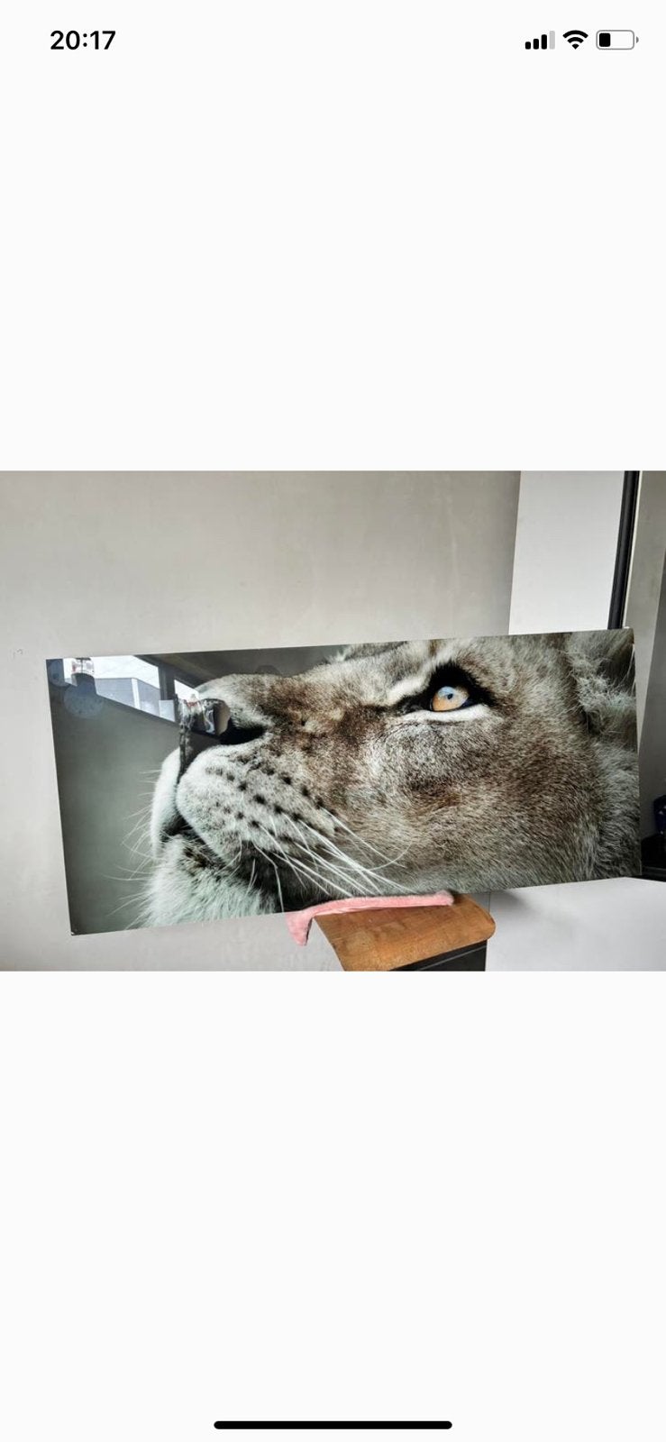 Châssis long, Maison & Meubles, Accessoires pour la Maison | Décorations murale, Enlèvement, Utilisé