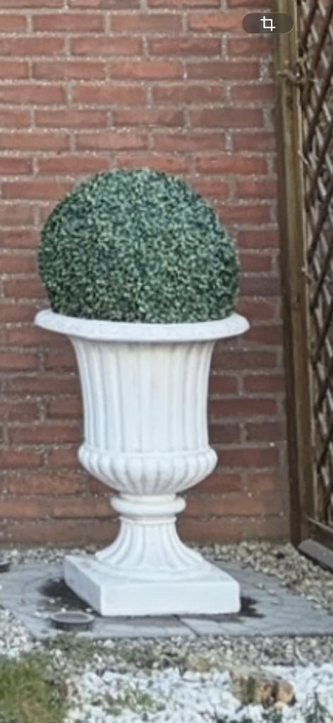 Coupe de jardin avec boule buis artificielle, Jardin & Terrasse, Enlèvement, Plante fixe