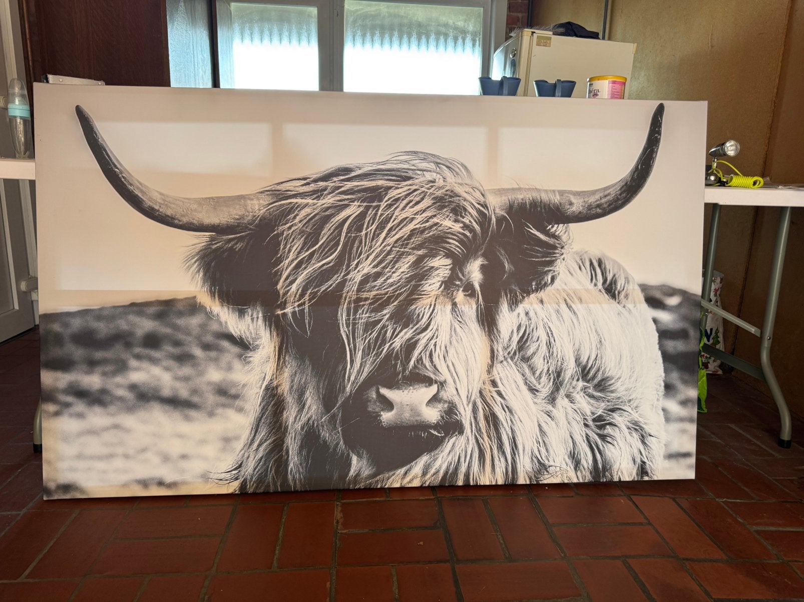 Canvas, Enlèvement