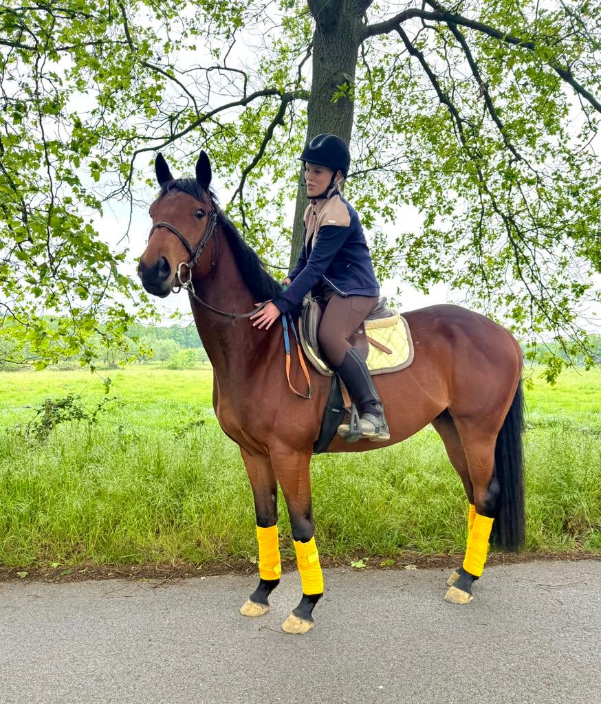 Toffe allrounder, Ruin, B, 160 tot 165 cm, 3 tot 6 jaar