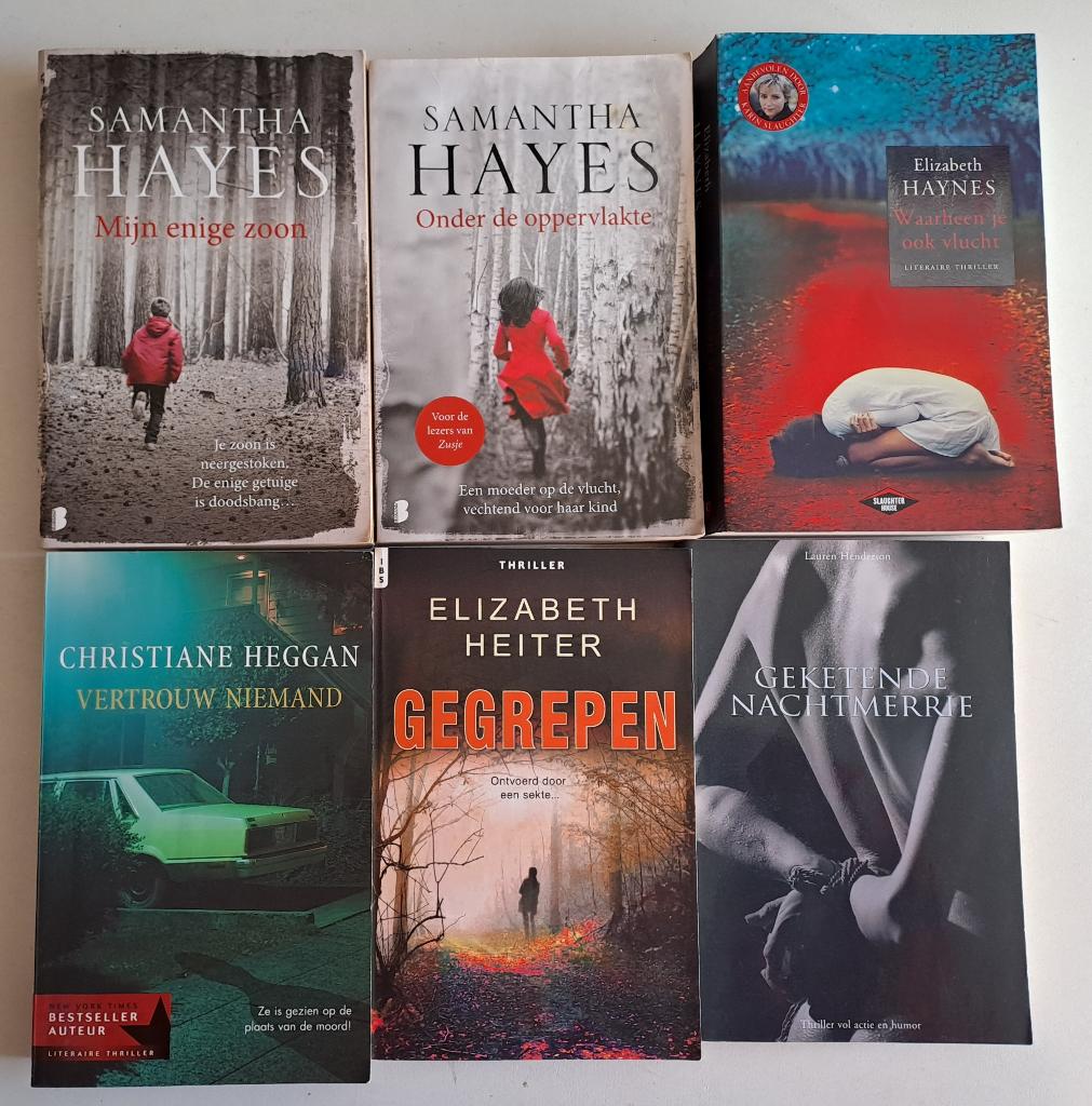 Thrillers & Detective & Oorlog (2), Ophalen of Verzenden, Gelezen