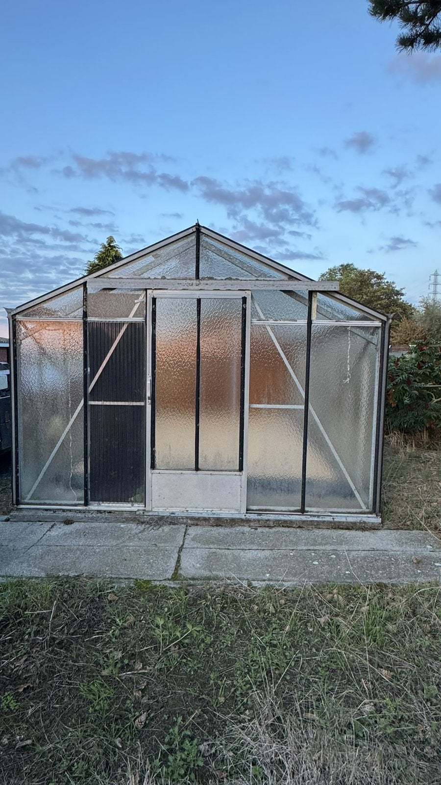 Ruime serre  – 8 m x 4 m, Ophalen, Gebruikt, Kweekkas, Glas