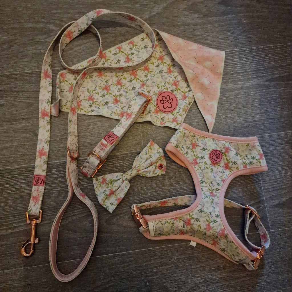 Set wandelen hond tuigje riem halsband M bloemen, Ophalen of Verzenden, Nieuw