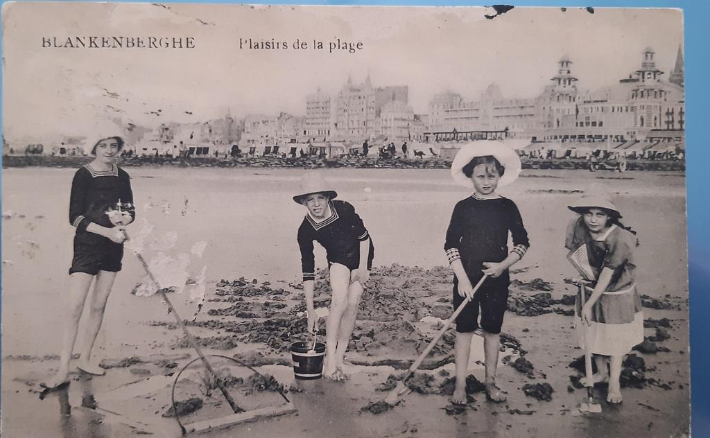 Carte postale BLANKENBERGE sur la plage STRAND TOP, Enlèvement ou Envoi