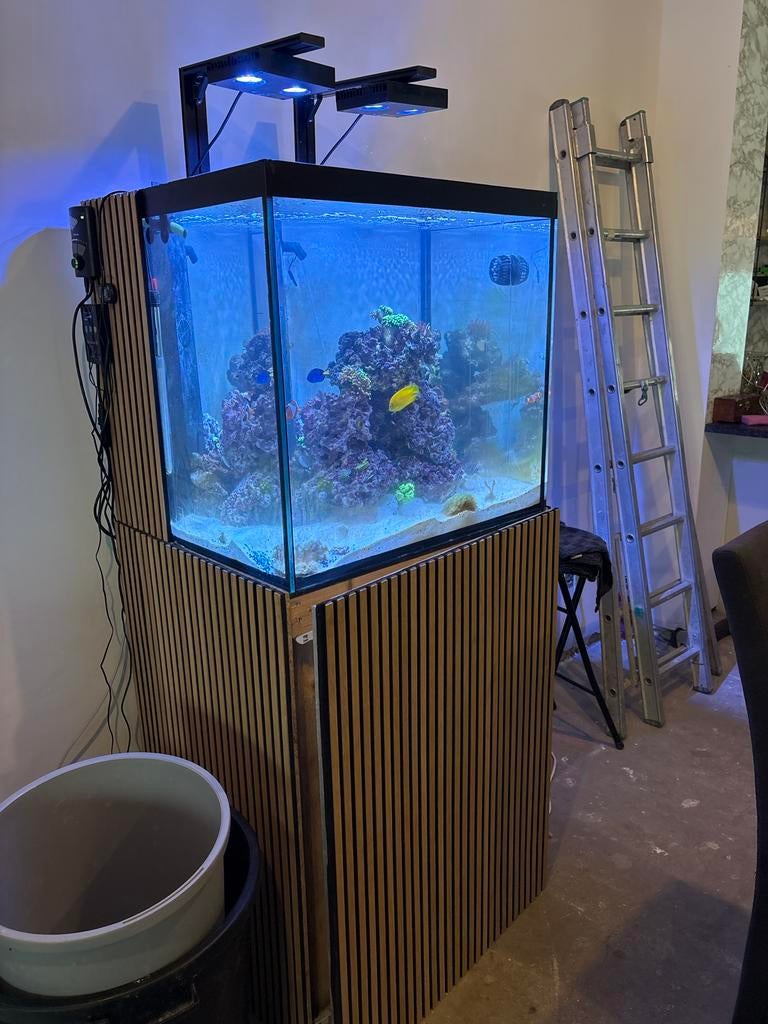 Zee aquaria, Ophalen, Gebruikt, Gevuld zeewateraquarium