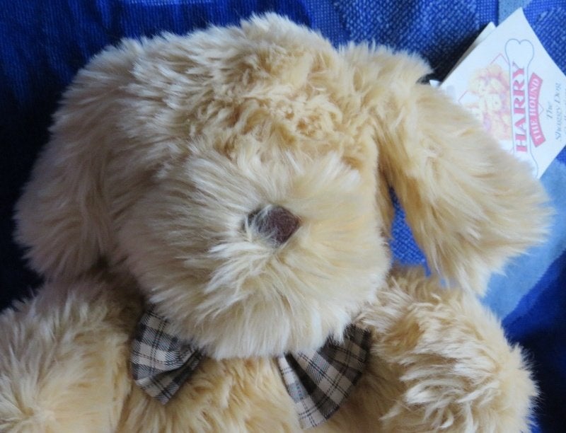 Knuffel : Harry de Hond - knuffelbeer - pluche - nieuw, Ophalen of Verzenden, Nieuw, Stoffen beer, Overige merken