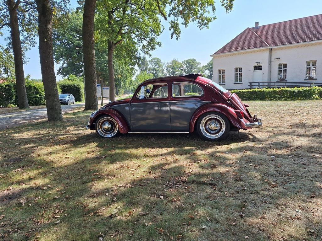 Bea, Auto's, Particulier, Te koop