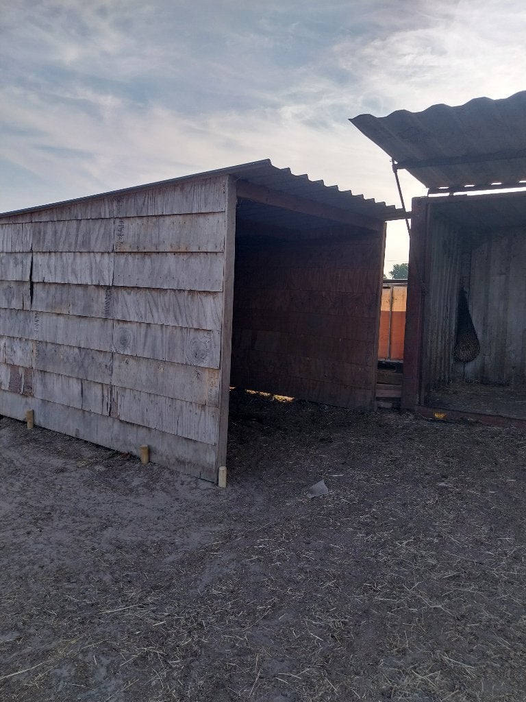 Abri pour chevaux (prairie), Animaux & Accessoires, Pâturage, 2 ou 3 chevaux ou poneys