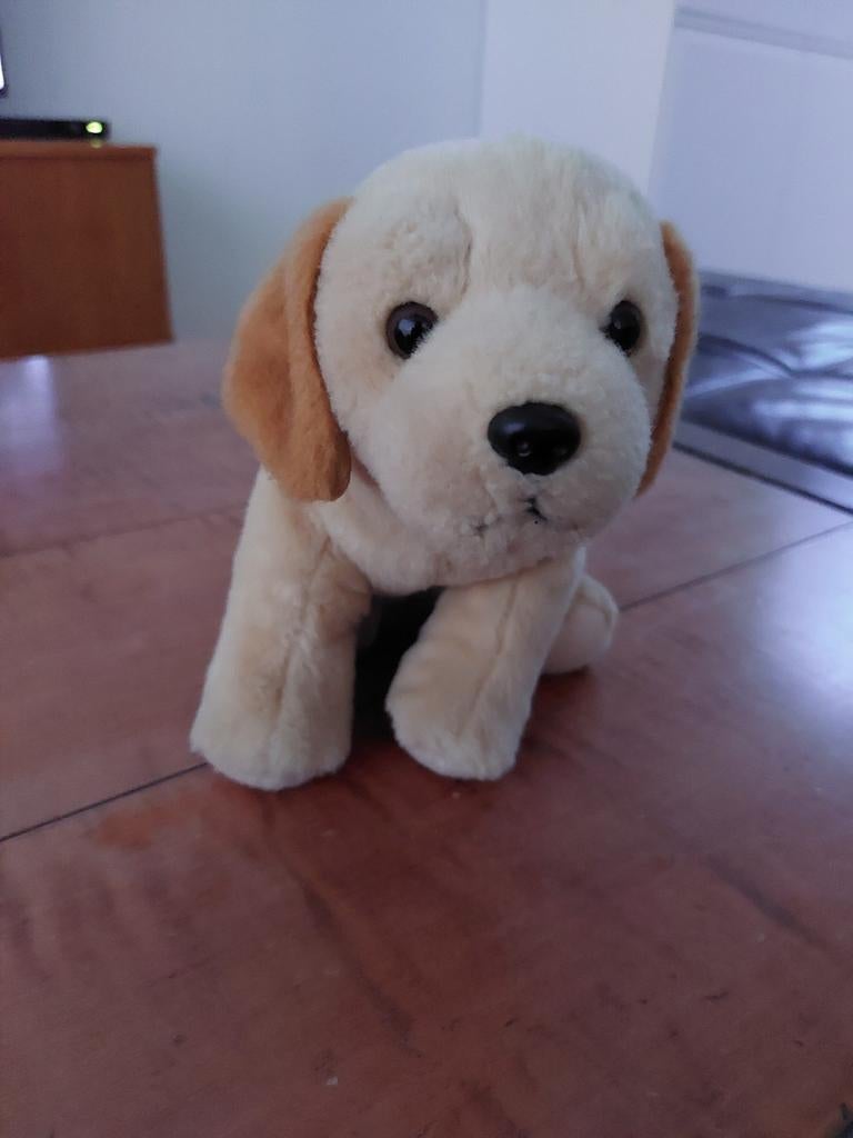 Knuffel van hond, Ophalen