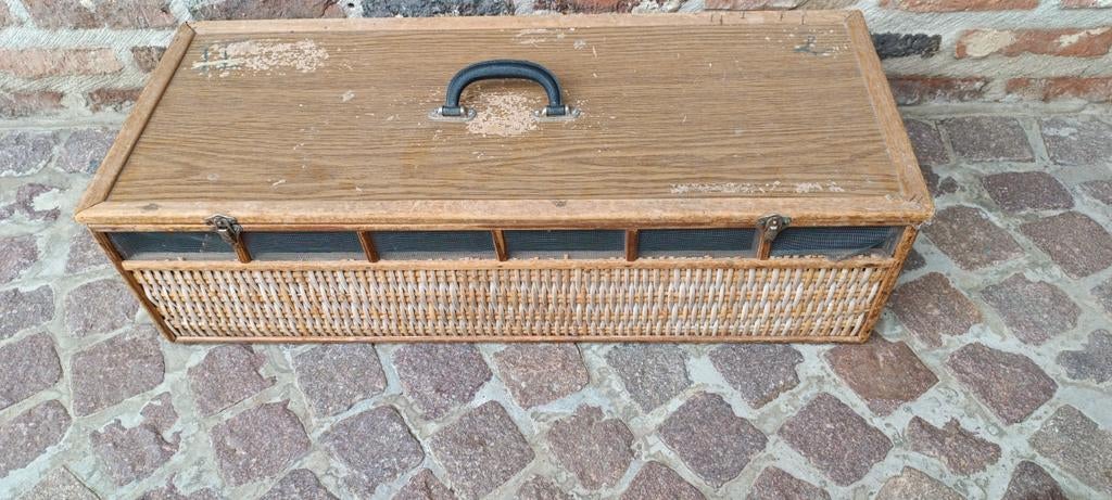 Duivenmand, Dieren en Toebehoren