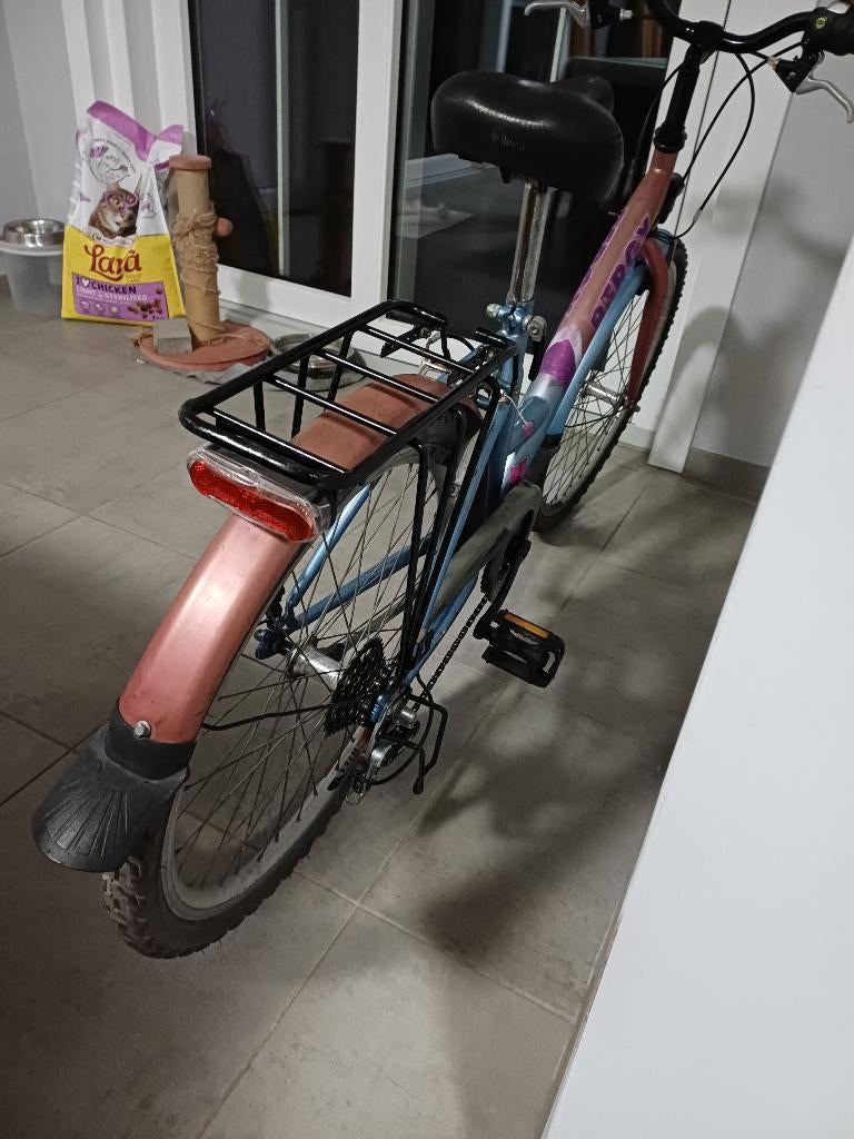 24 inch, Velgrem, Versnellingen, Ophalen, Overige merken