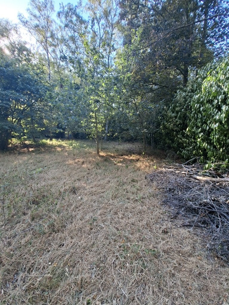 Recreatiegrond te koop in het rustige Stekene, Immo, Gronden en Bouwgronden, Stekene, 1000 tot 1500 m²