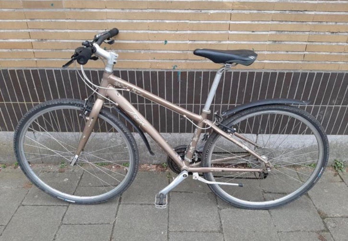Damesfiets, Fietsen en Brommers, Ophalen, Gebruikt, Overige merken