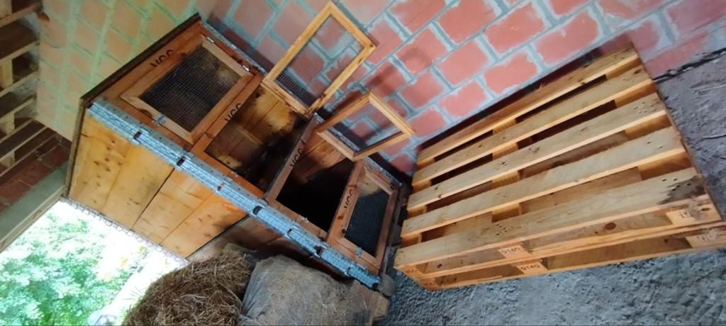 Clapiers pour lapins, Enlèvement