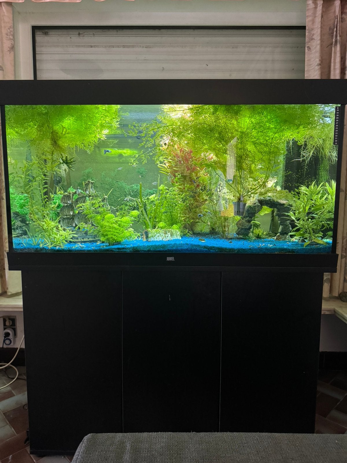 Aquarium met alles erop en eraan en ook vissen, Enlèvement, Comme neuf, Filter