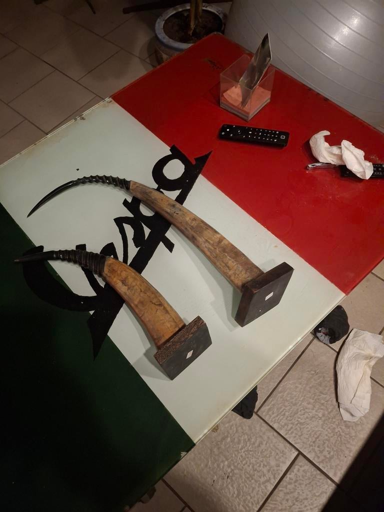 2 waterbuffels horns op houten voet 40cm  en 53 cm, Huis en Inrichting, Woonaccessoires | Overige, Ophalen, Zo goed als nieuw
