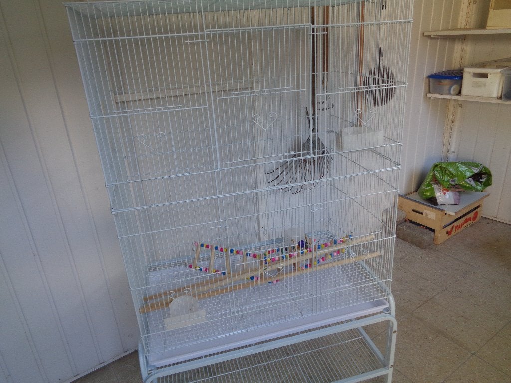 nieuwe kooi voor vogels, Ophalen, Nieuw, Metaal, Vogelkooi