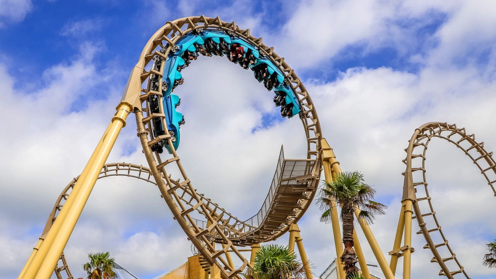 1 ticket walibi, Eén persoon, Ticket of Toegangskaart