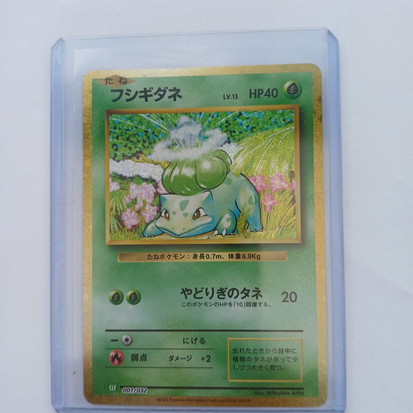 Pokemon bulbasaur en japonais