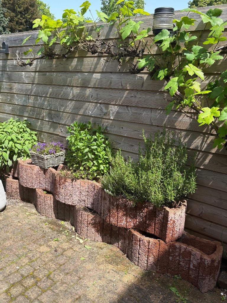 Beton bloembakken (6 stuks), Ophalen, Gebruikt, Minder dan 30 cm, Minder dan 60 cm