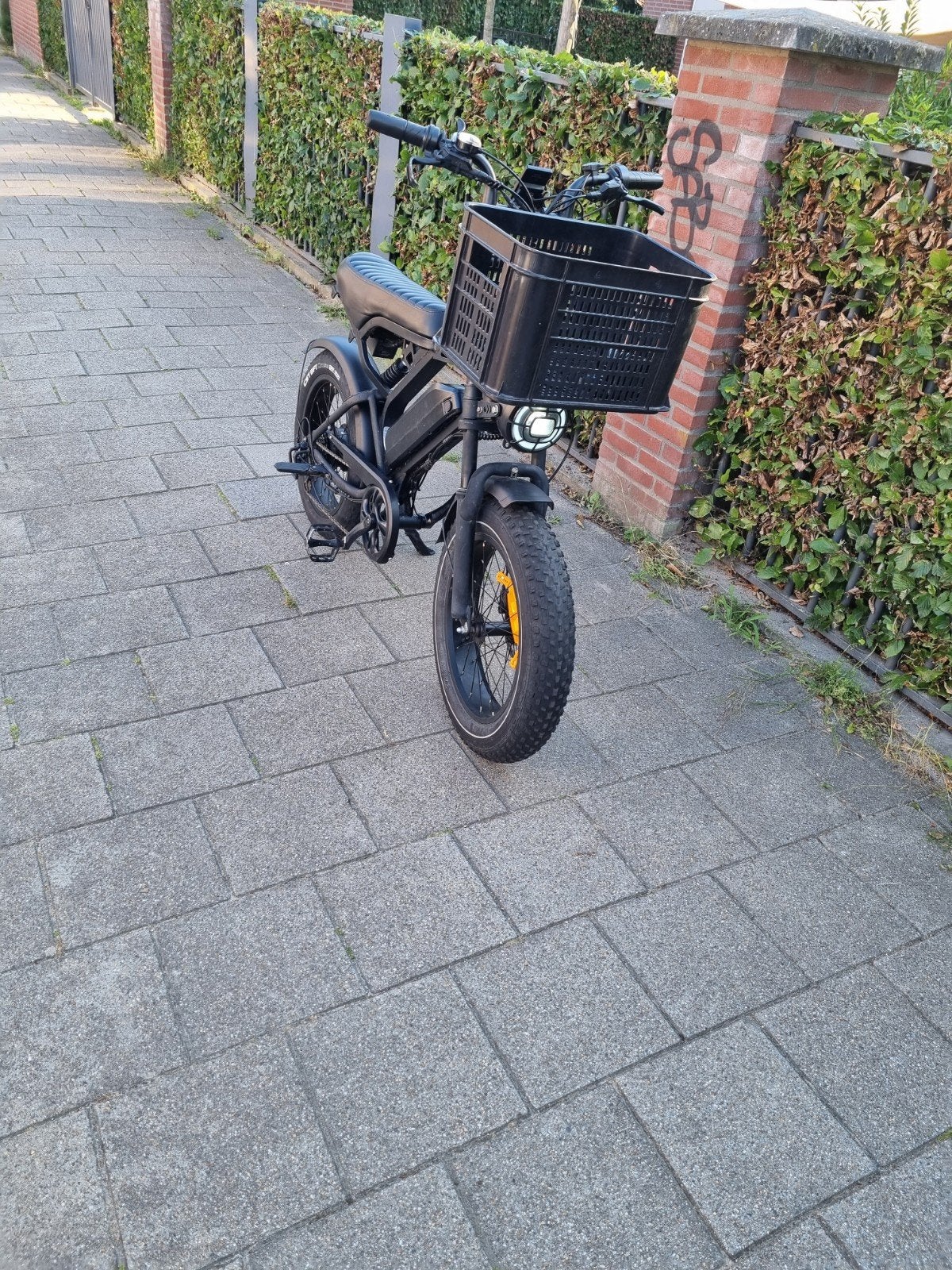 Vélo à pneus surdimensionnés Luxi V20 Pro, Enlèvement