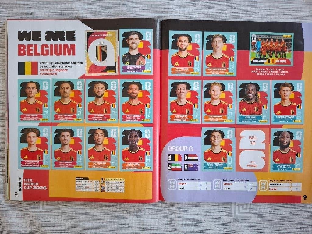 PANINI RUILEN UPDATE BIJNA LAATSTE KANS!, Verzamelen, Ophalen of Verzenden, Zo goed als nieuw