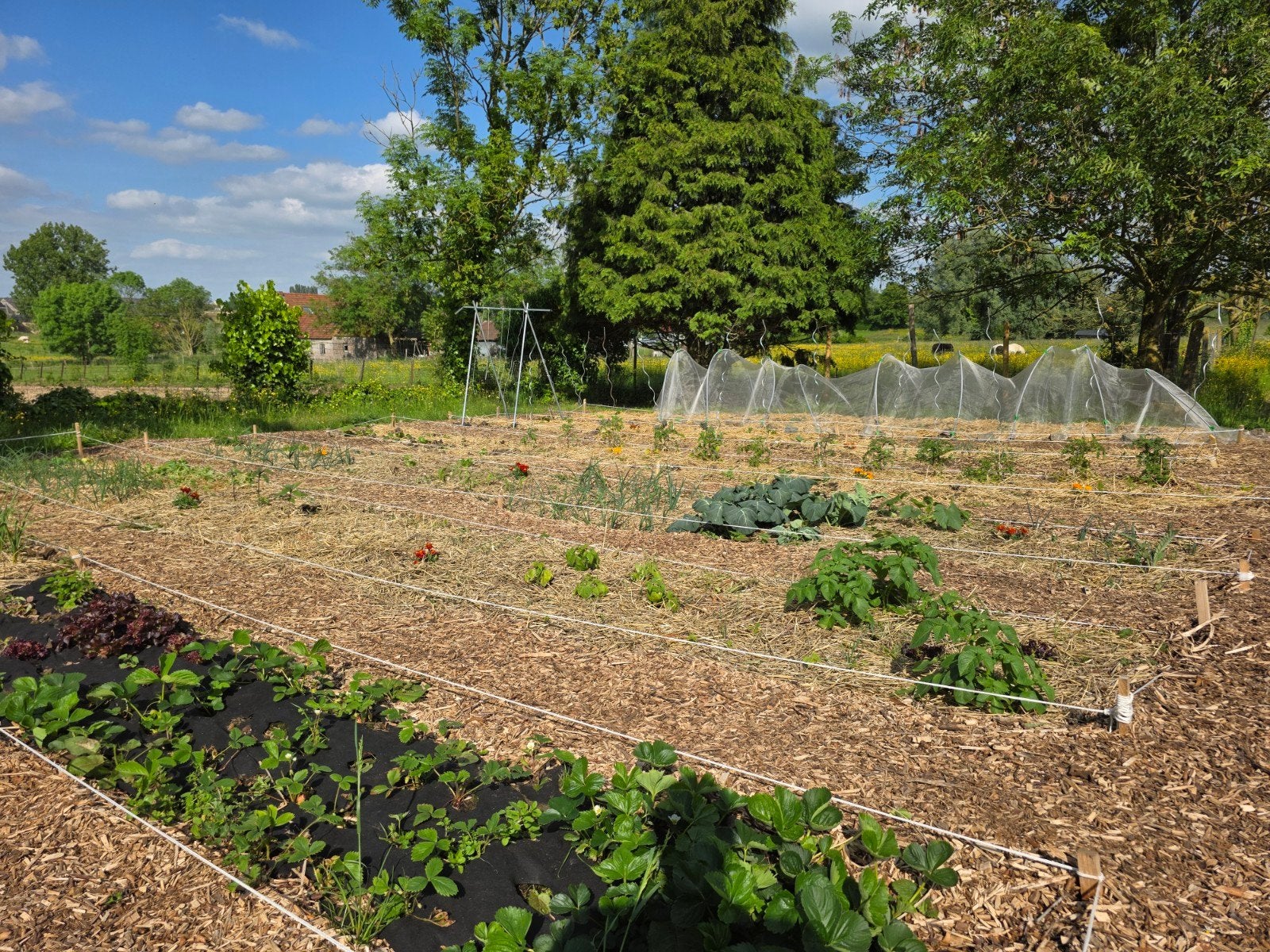 À la recherche de copeaux de bois ou de paillis, Jardin & Terrasse, Terre & Fumier, Enlèvement