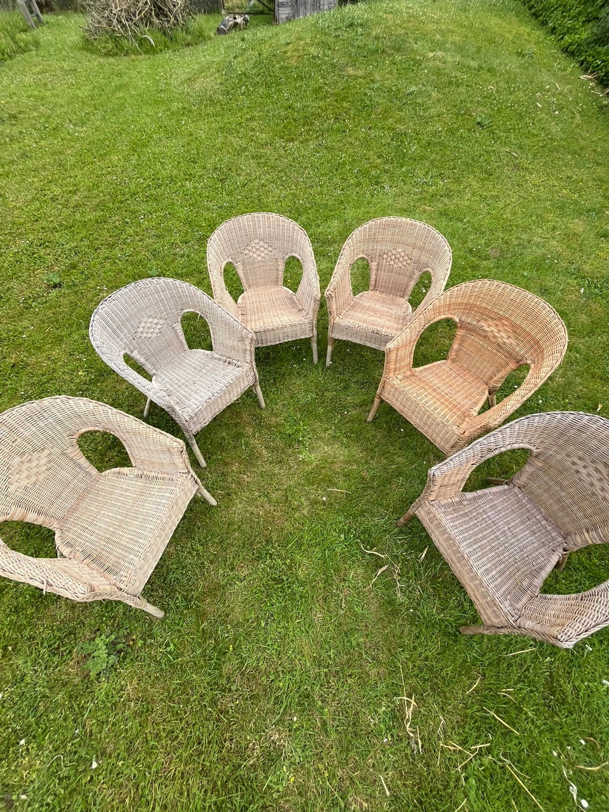 6 chaises en osier, Jardin & Terrasse, Enlèvement, Utilisé, Rotin, Empilable