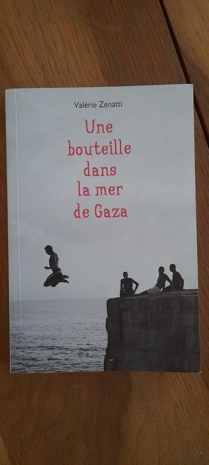 Une bouteille dans la mer de Gaza, Boeken, Ophalen, Nieuw, Frans, Valerie zenatti