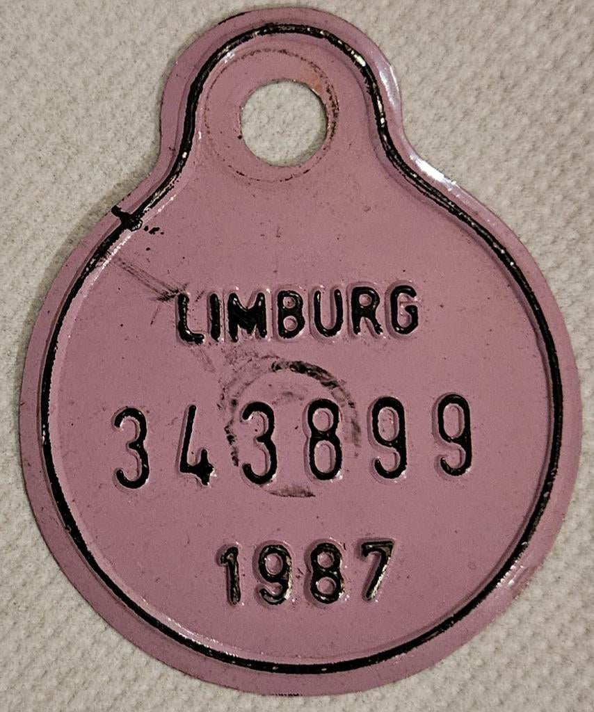 Limburg 1987 fietstaksplaat 343899
Dit zijn orig, Verzamelen, Ophalen of Verzenden