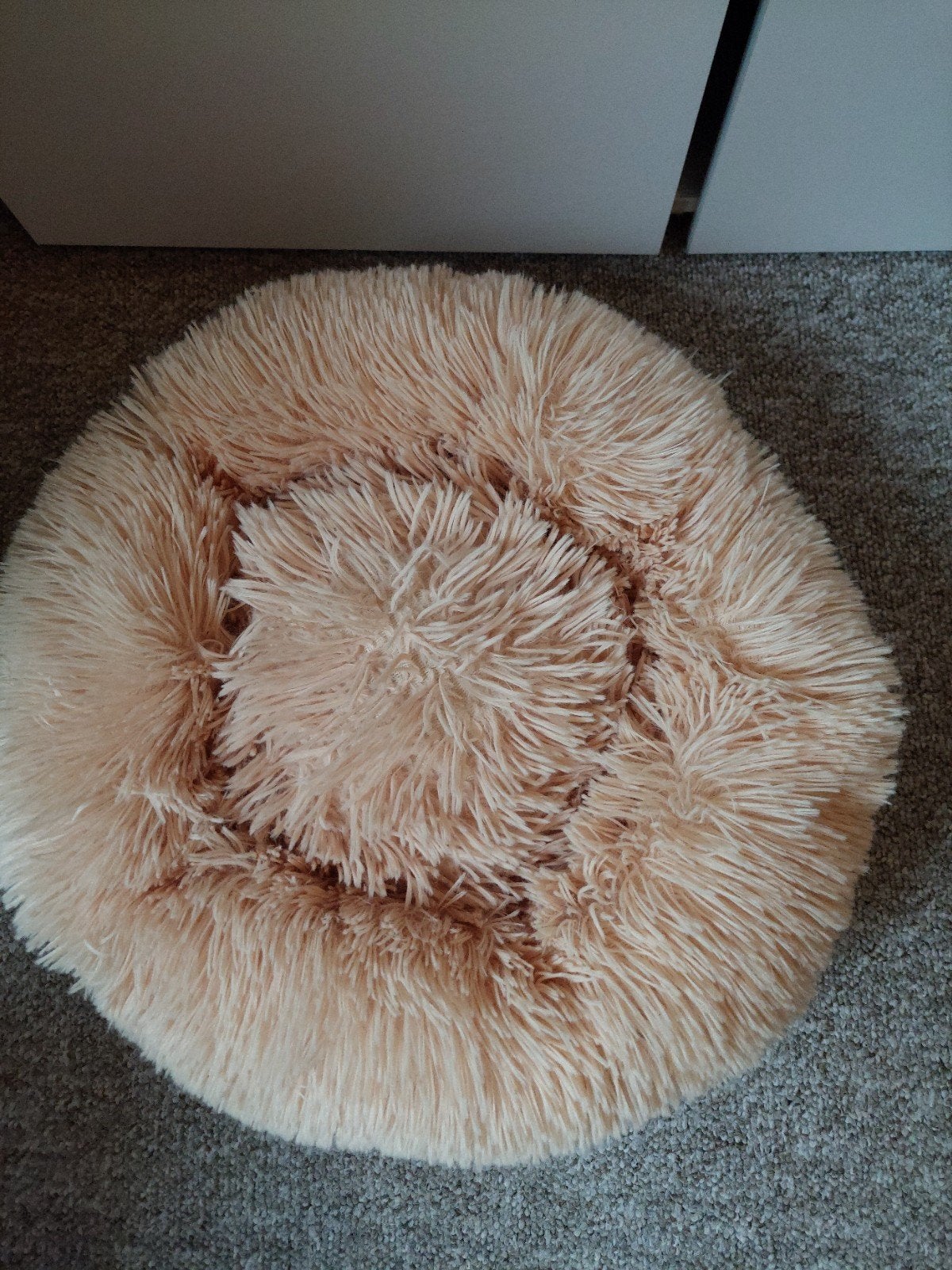 Honde mandje 5€In zeer goede staat, Dieren en Toebehoren, Ophalen