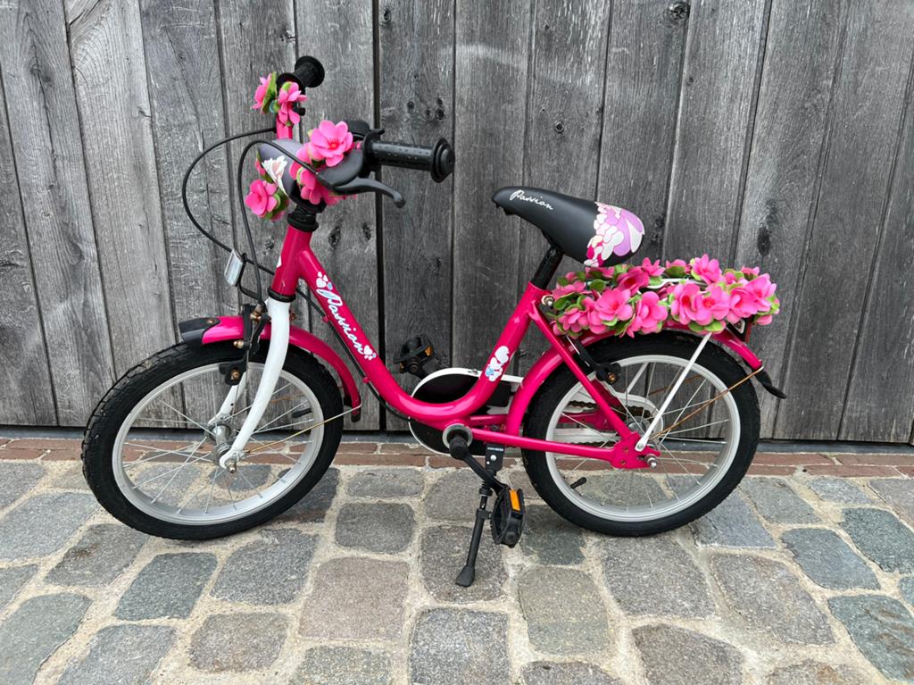 Kinderfiest, Fietsen en Brommers, Ophalen, Gebruikt, Velgrem, 16 tot 20 inch