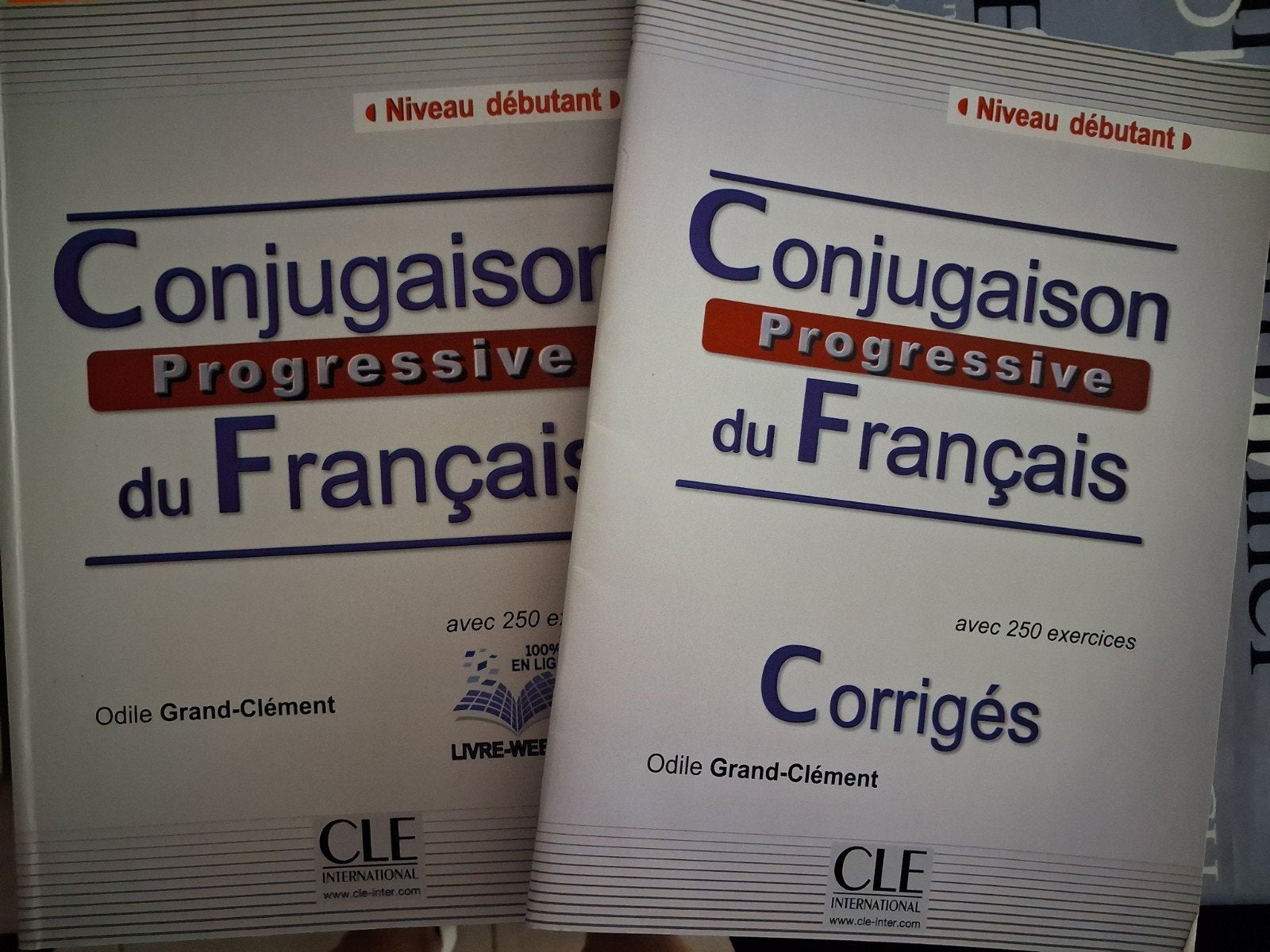 cursusboek Frans, Livres, Informatique & Ordinateur, Enlèvement ou Envoi