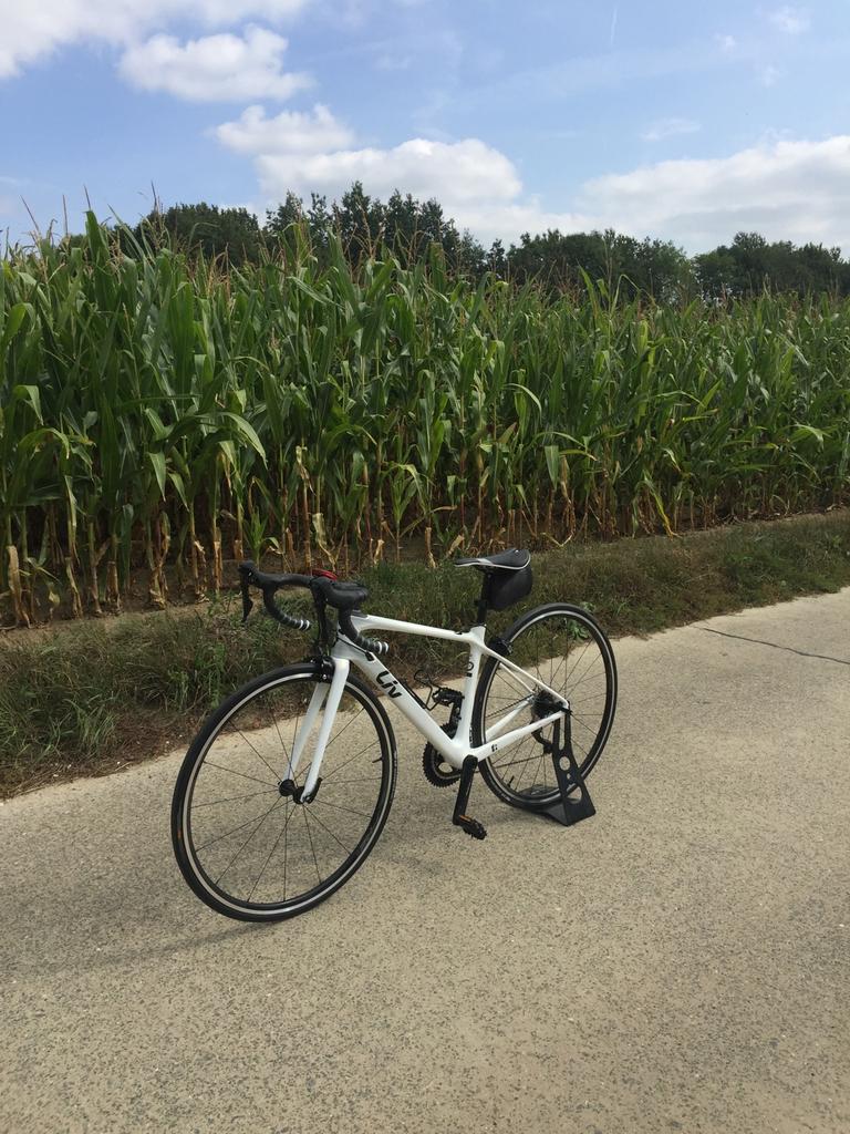 Liv langma advanced 2, Fietsen en Brommers, Gebruikt, Carbon, Minder dan 49 cm, Dames