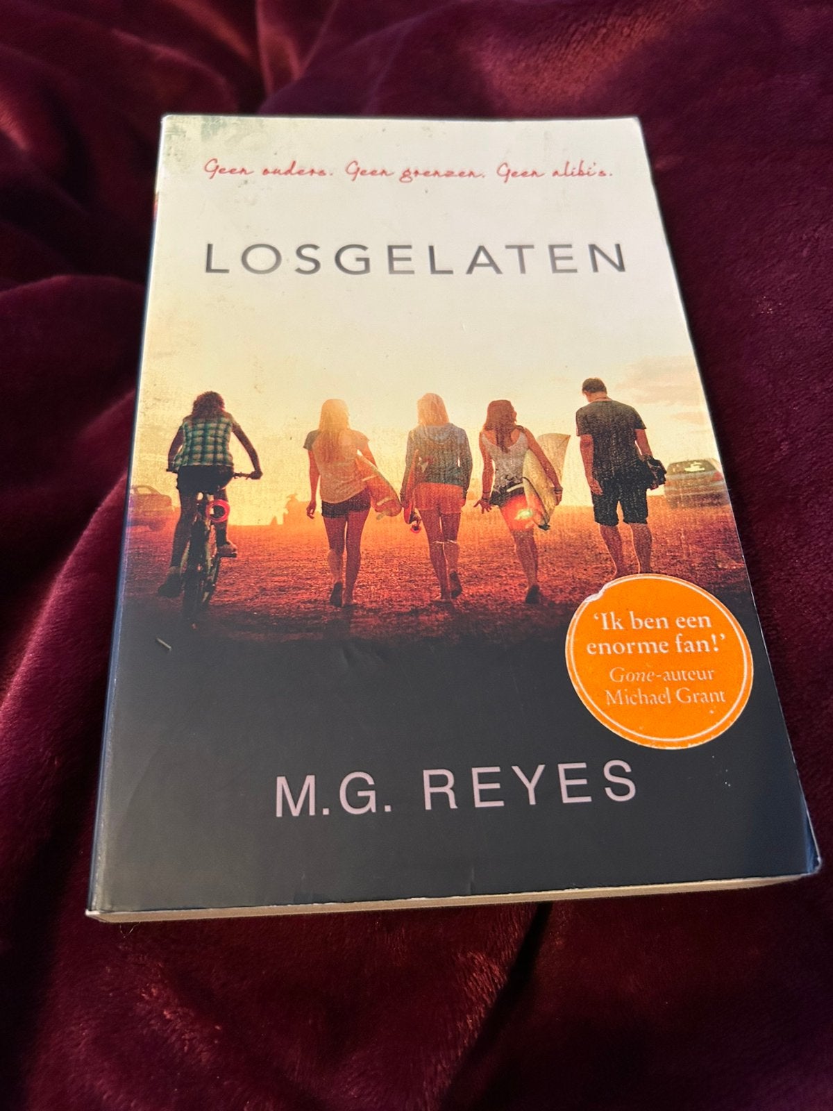 M.G. Reyes - Losgelaten, Gelezen, Fictie, M.G. Reyes, Ophalen of Verzenden