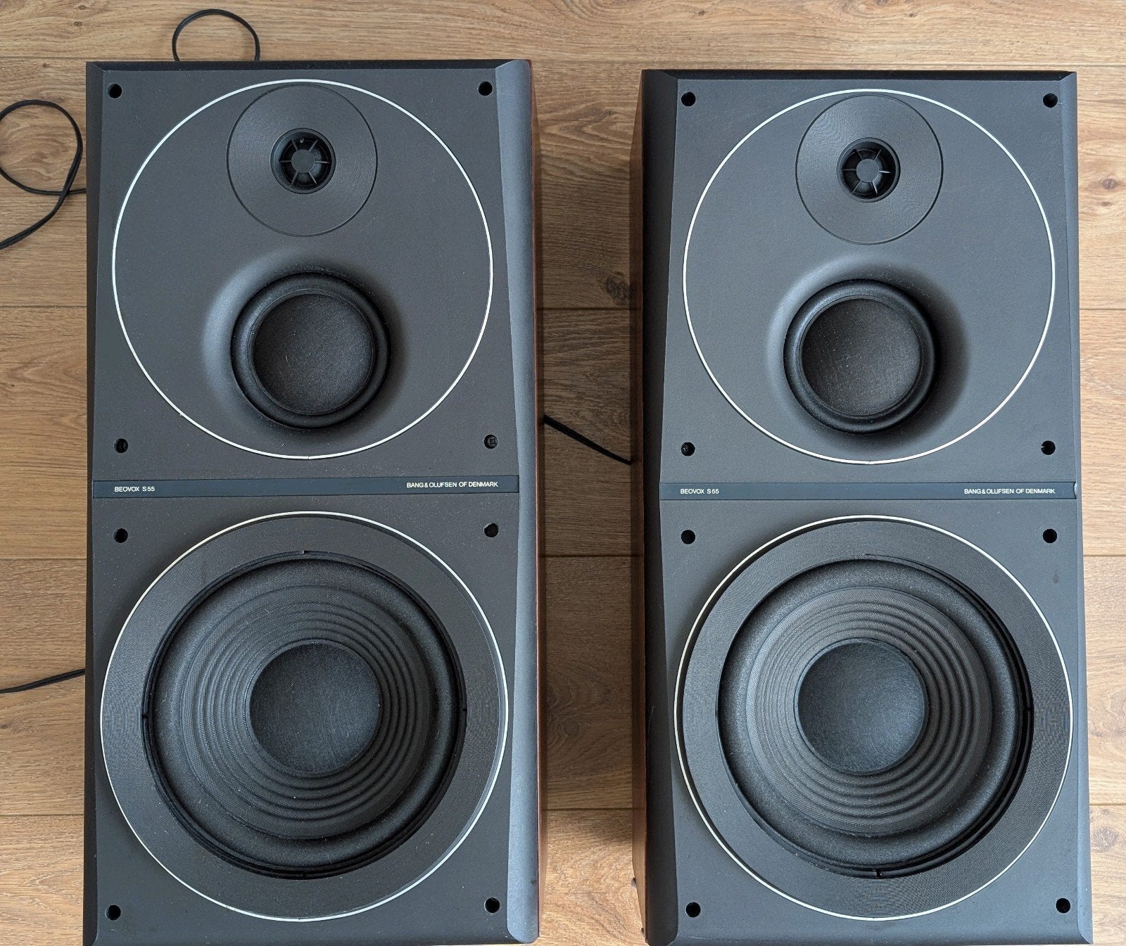 B&O Beovox s55, Câbles inclus, 60 à 120 watts, Enlèvement, Bang & Olufsen