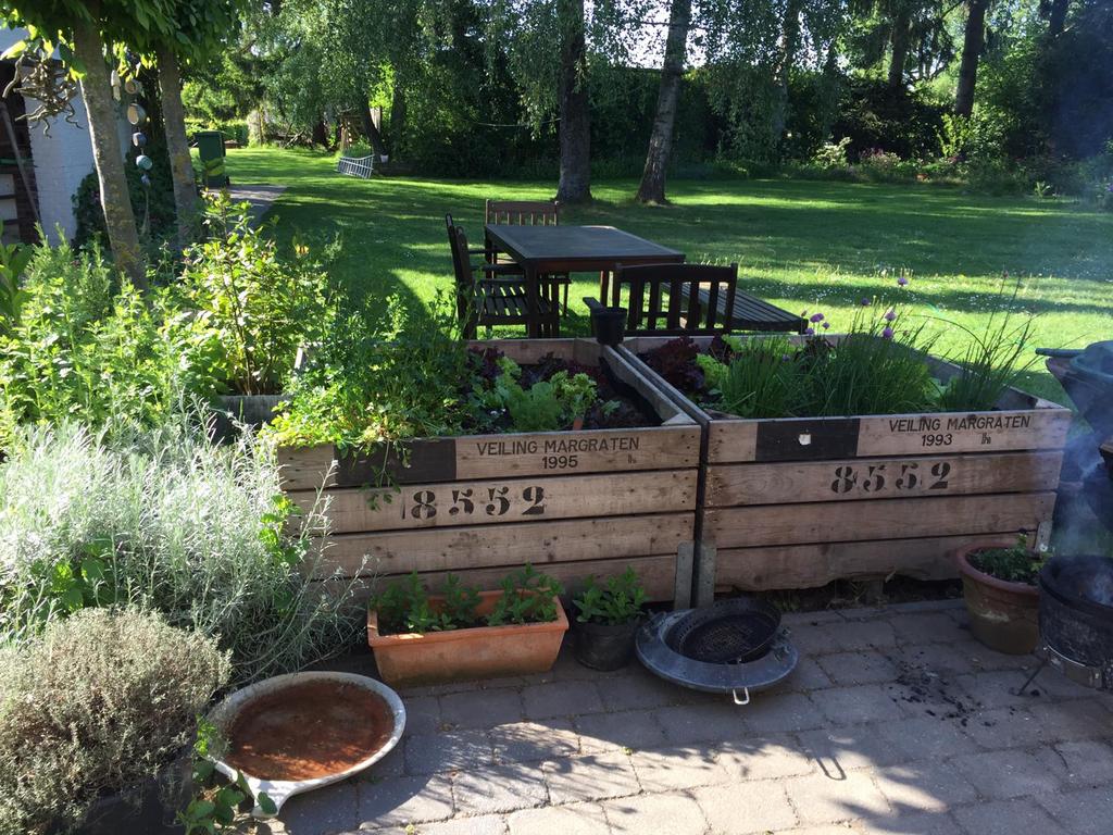 Boîtes aux enchères, jardinières, bacs à fleurs, potager, Enlèvement, Comme neuf