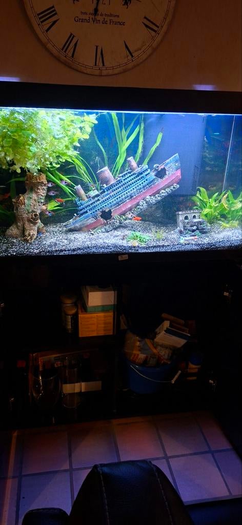 Aquarium Aqualantis met kast, Dieren en Toebehoren, Vissen | Aquaria en Toebehoren, Zo goed als nieuw, Overige typen, Ophalen