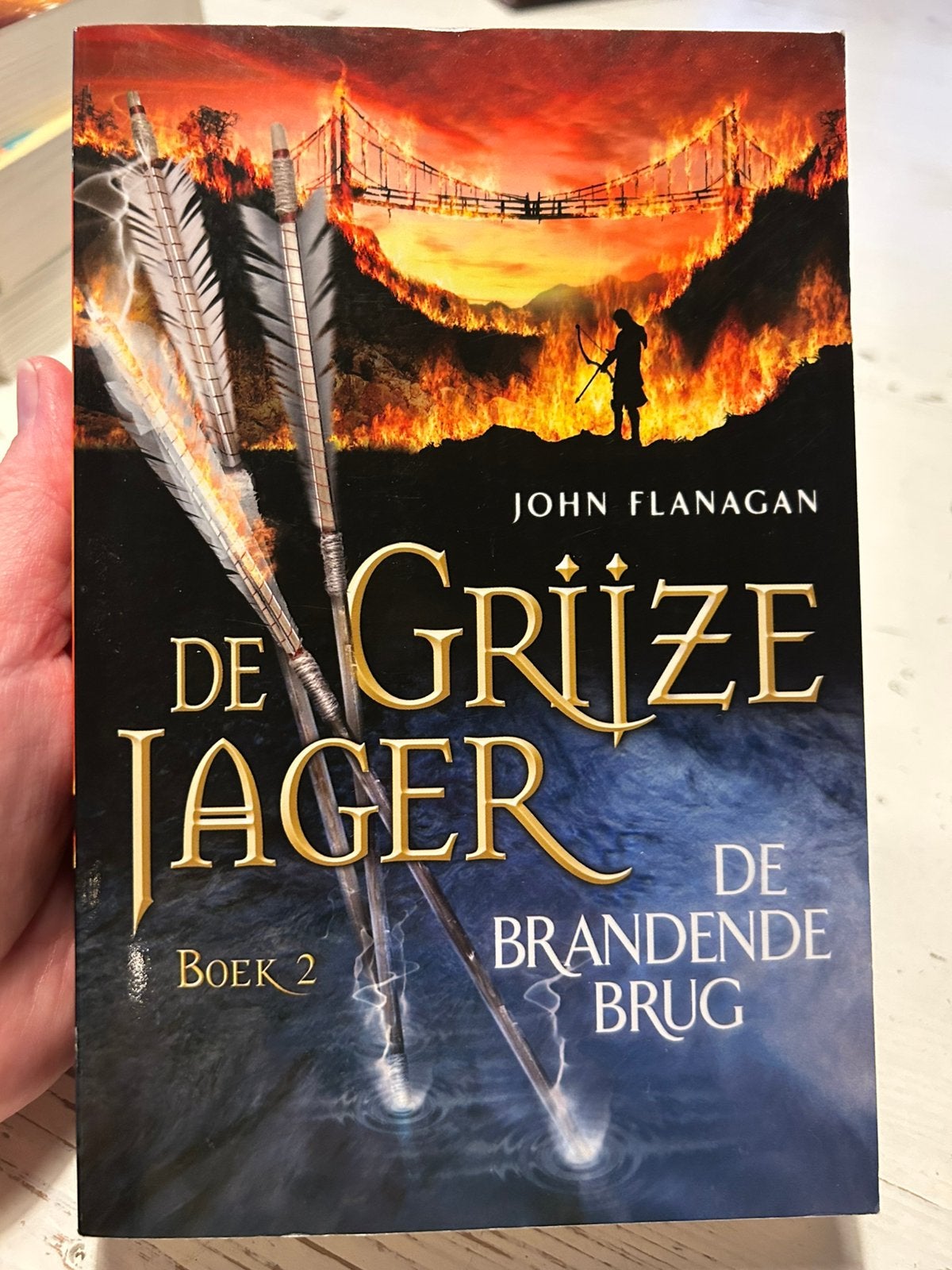 De grijze jager - boek 2,3,4 - reeks, Boeken, Ophalen, Gelezen, Fictie