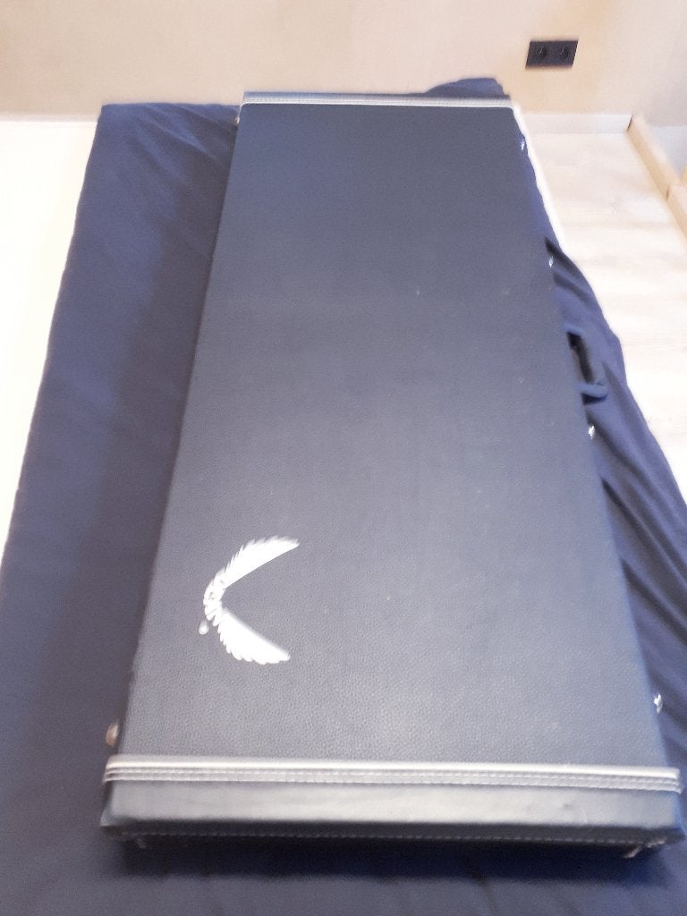 Etuit guitare Dean fliyng v, Enlèvement ou Envoi, Comme neuf