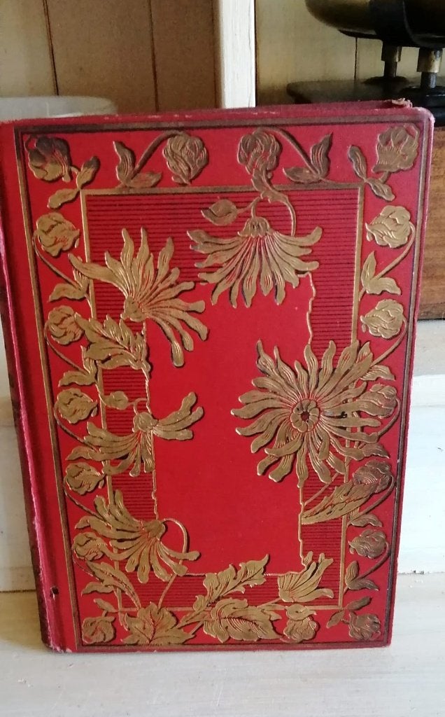 À travers les Alpes françaises - Gustave Derennes, vers 1900, Boeken, Ophalen of Verzenden, Gelezen