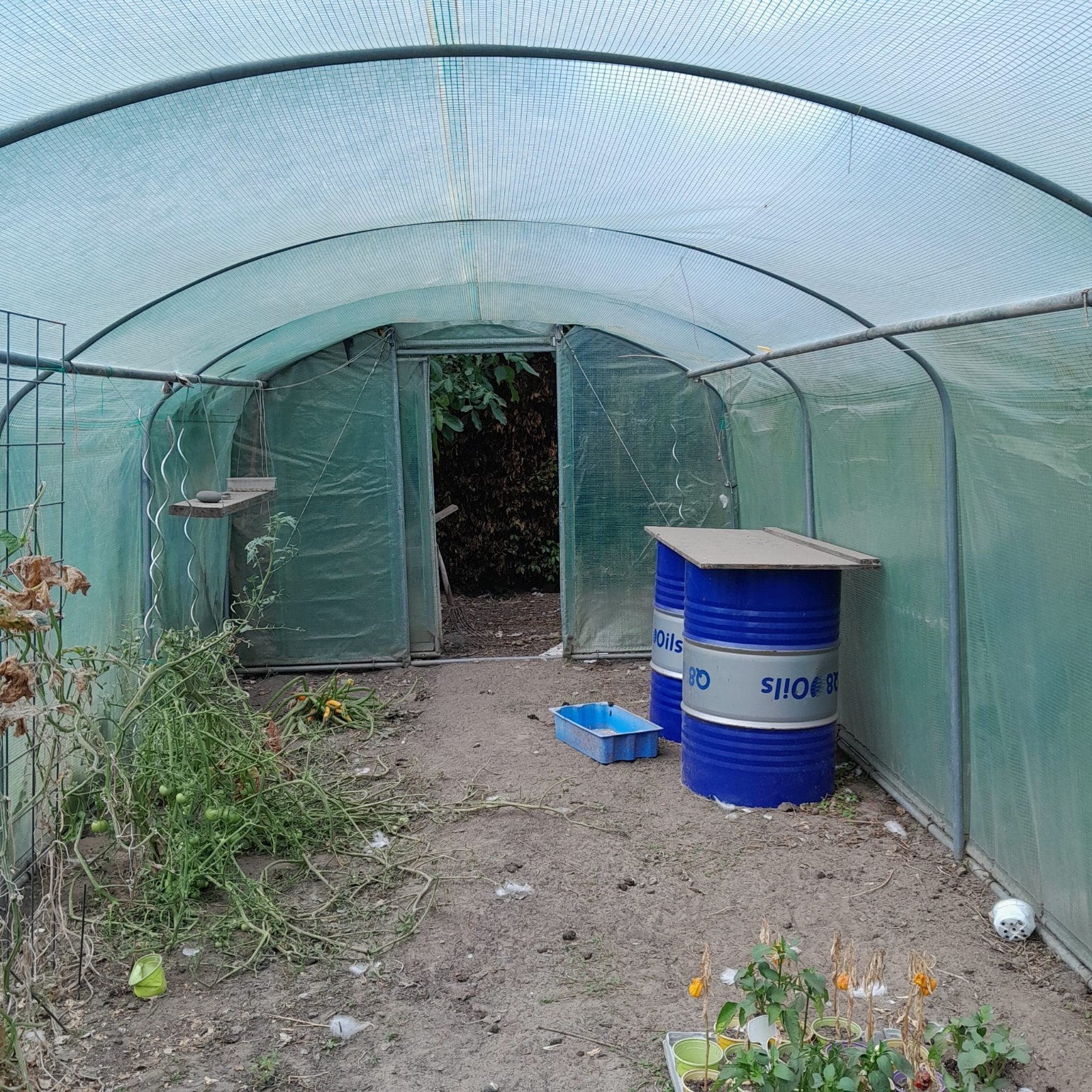 serre, Jardin & Terrasse, Enlèvement, Utilisé