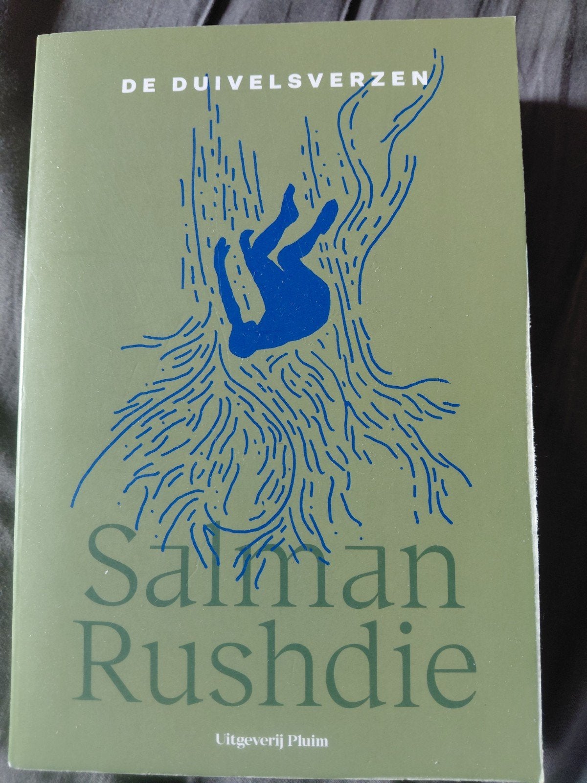 historische roman van salman rushdie DE DUIVELSVERZEN, Boeken, Ophalen